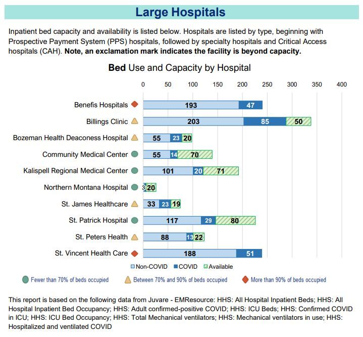 Hospital Capacity as of November 20