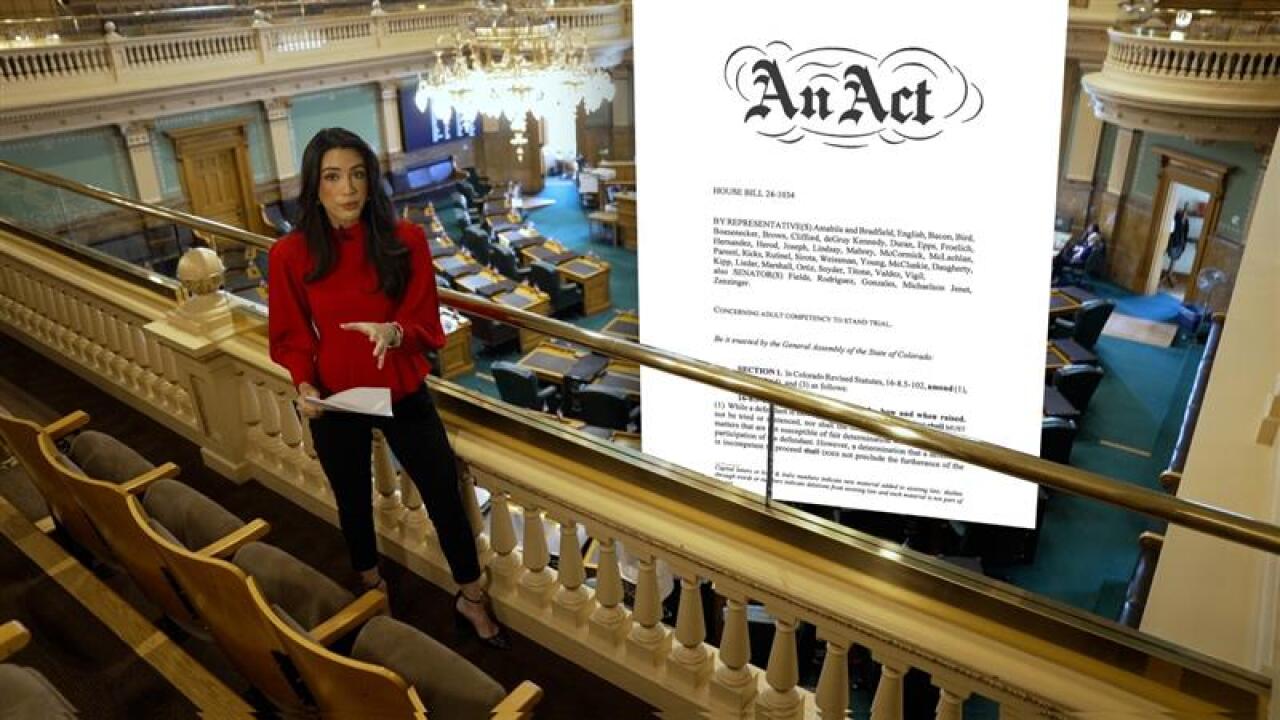 Mental Health competency 3.jpg