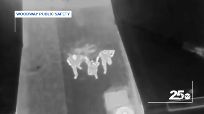 Woodway drone burglary suspect arrest