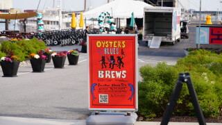 Oysters Blues and Brews flyer at the Baltimore Peninsula