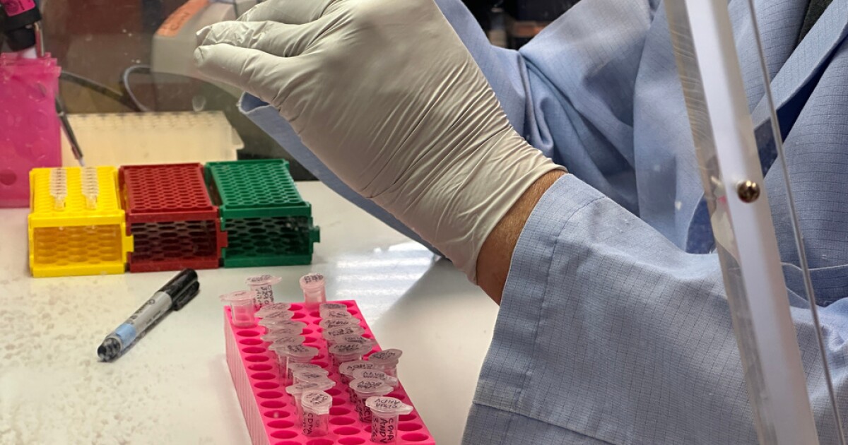 No Americans have tested positive for hantavirus tied to cruise ship outbreak, CDC says
