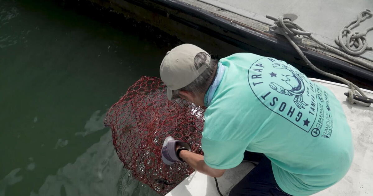 Volunteers needed to help clean Tampa Bay's waterways - Vimarsana News