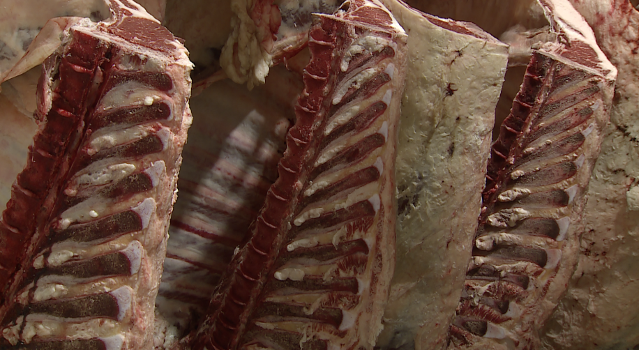 Beef Industry