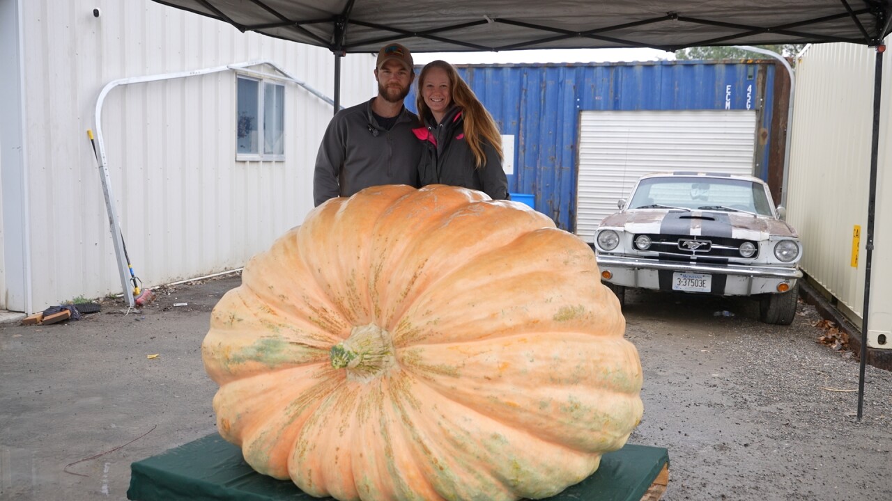 pumpkin5_2.30.1.jpg