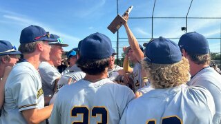 Hudsonville baseball wins district championship