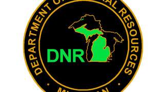 DNR 