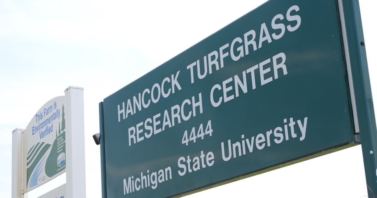 Michigan State researchers helped develop the 2026 FIFA World Cup fields