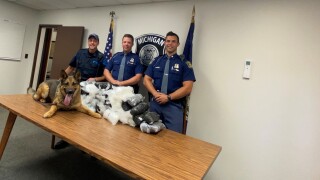 Meth Seizure1.jpg