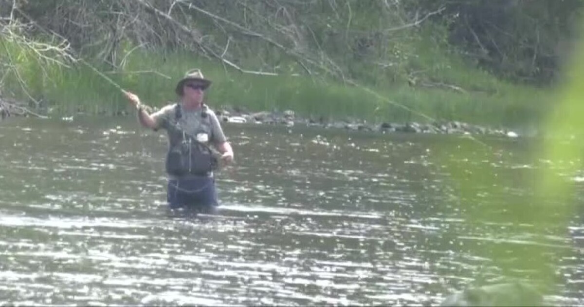 Emergency fishing restrictions adopted for Big Hole, Beaverhead and ...