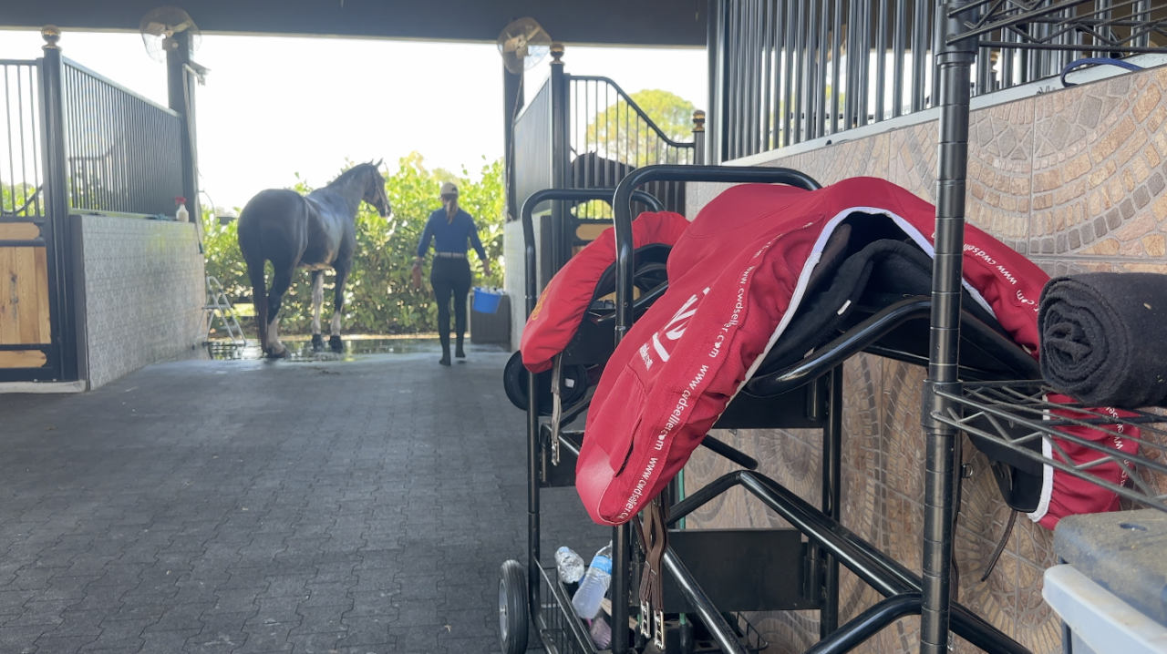 Kilmer with her horse