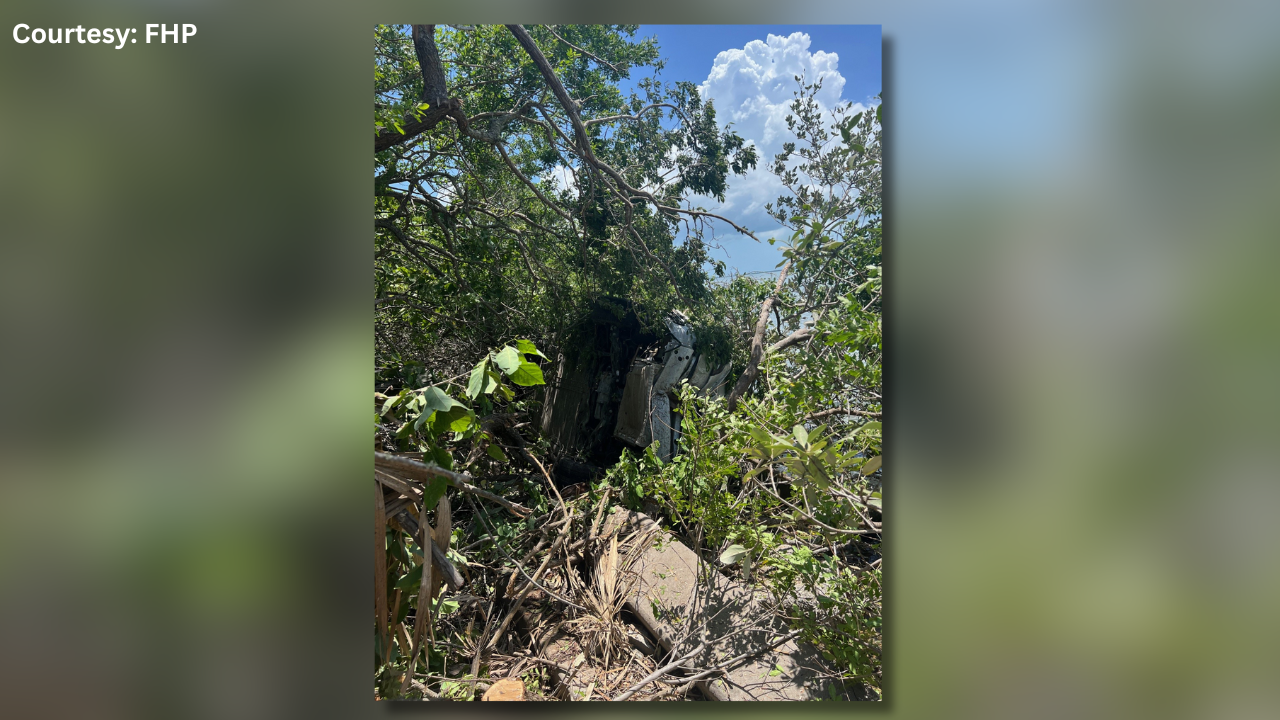 Driver thrown into the Gulf of Mexico after losing control and flipping into the mangroves