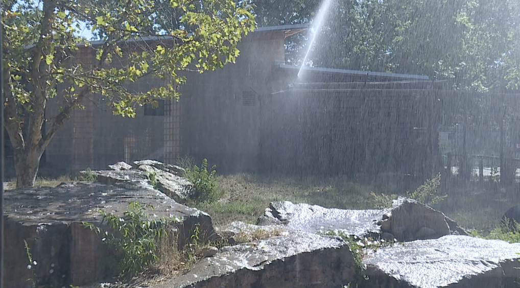 Zoo Boise heatwave