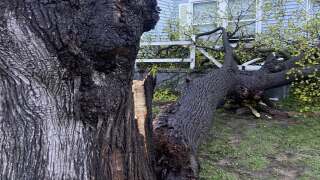 Kentwood, MI storm damage 