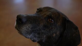 Poster image (58).jpg