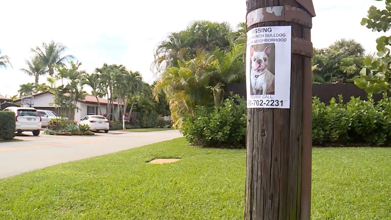 Missing French bulldog sign in Delray Beach