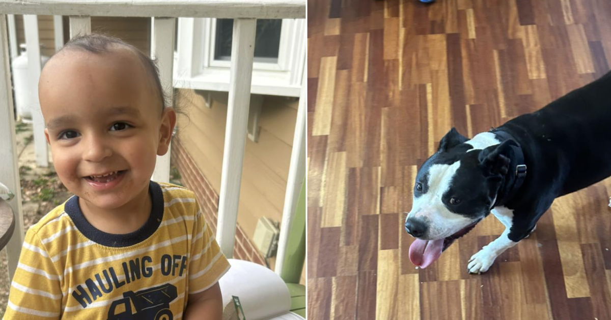 Toddler found wandering with dog in Powhatan on Easter reunited with family