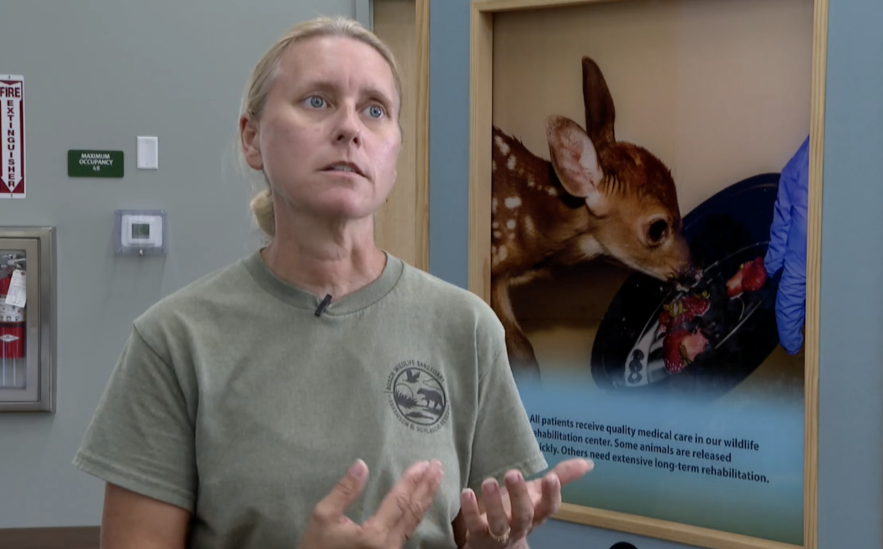 Amy Kight Busch Wildlife Sanctuary