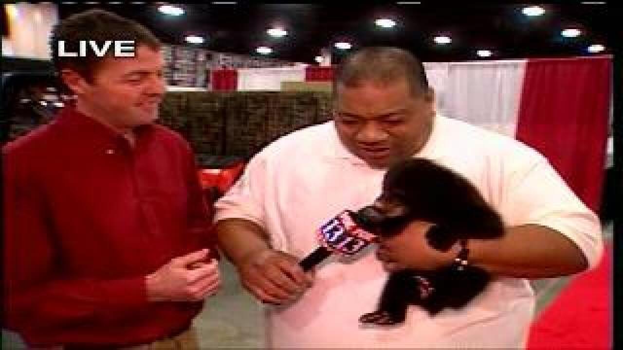 Black bear cubs at sportsmen’s expo