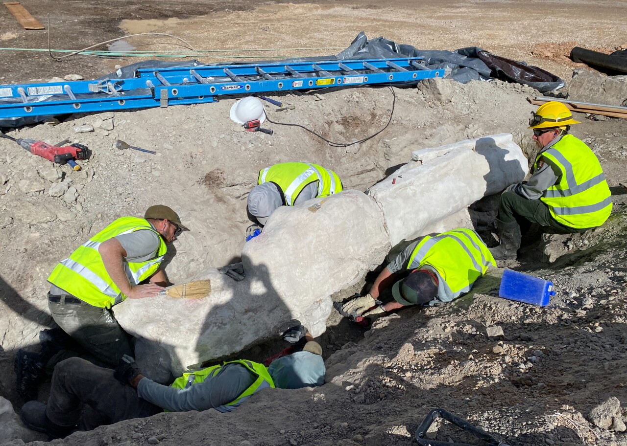 Dinosaur National Monument staff work on excavated dinosaur fossils in the Quarry Exhibit Hall Parking Lot.