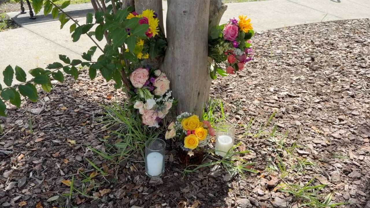The Pinellas County Sheriff's Office said Jessica Antolini, 30, was shot by her boyfriend, Christopher "Dodge" Smith, in Safety Harbor, Florida.