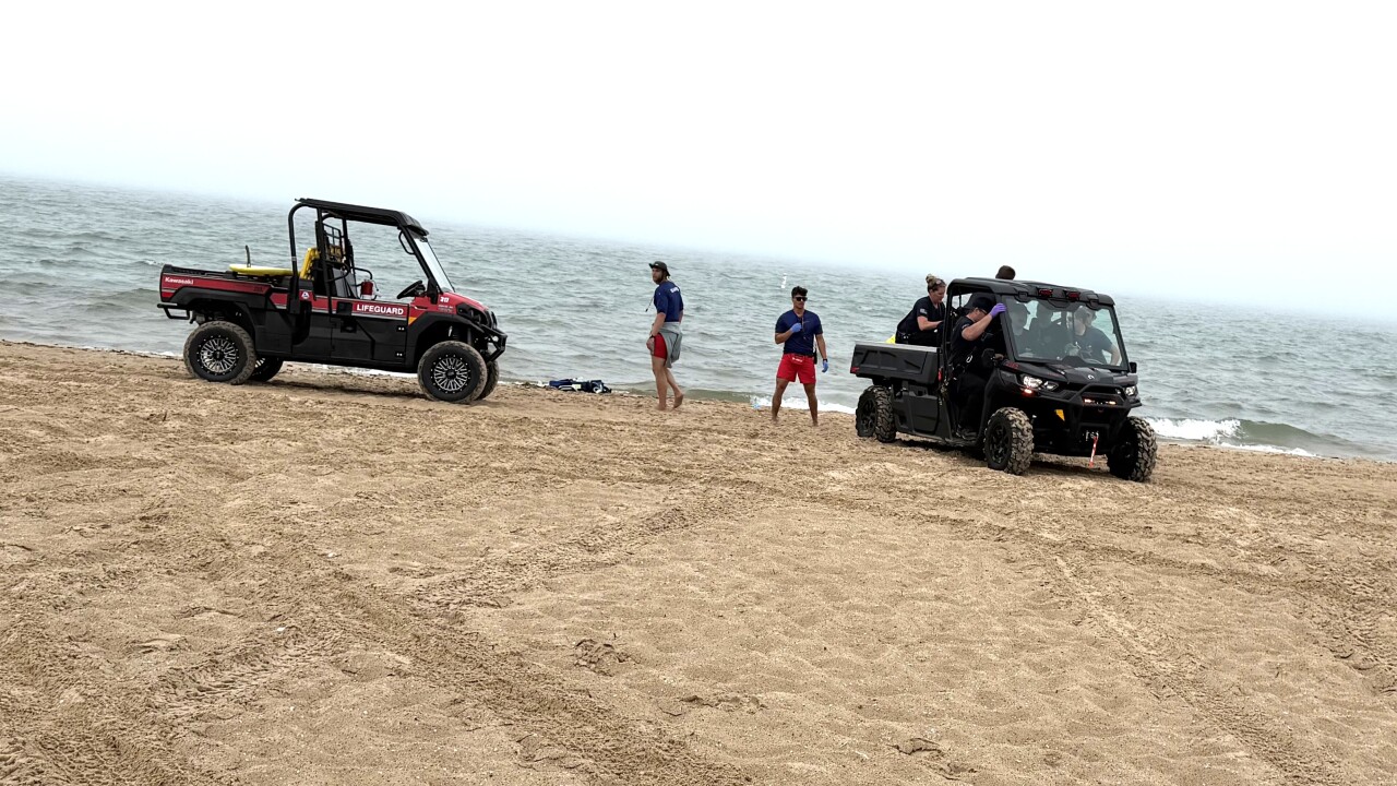 South Haven swimmer rescue