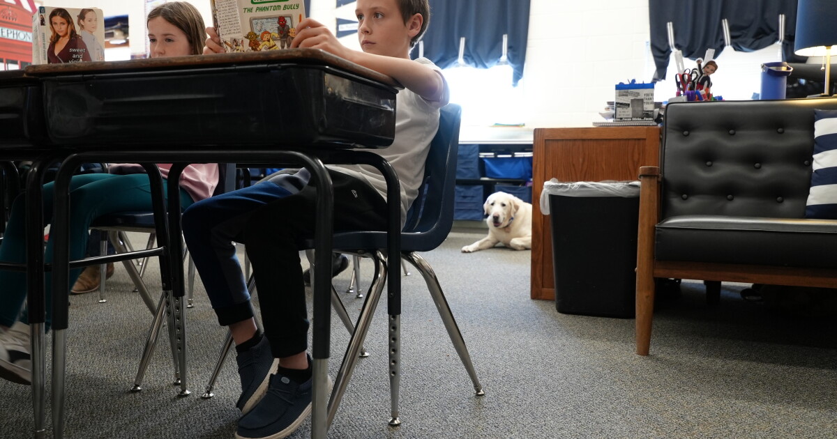 Meet Governor and June - Radley Elementary Schools facility dogs - Vimarsana News