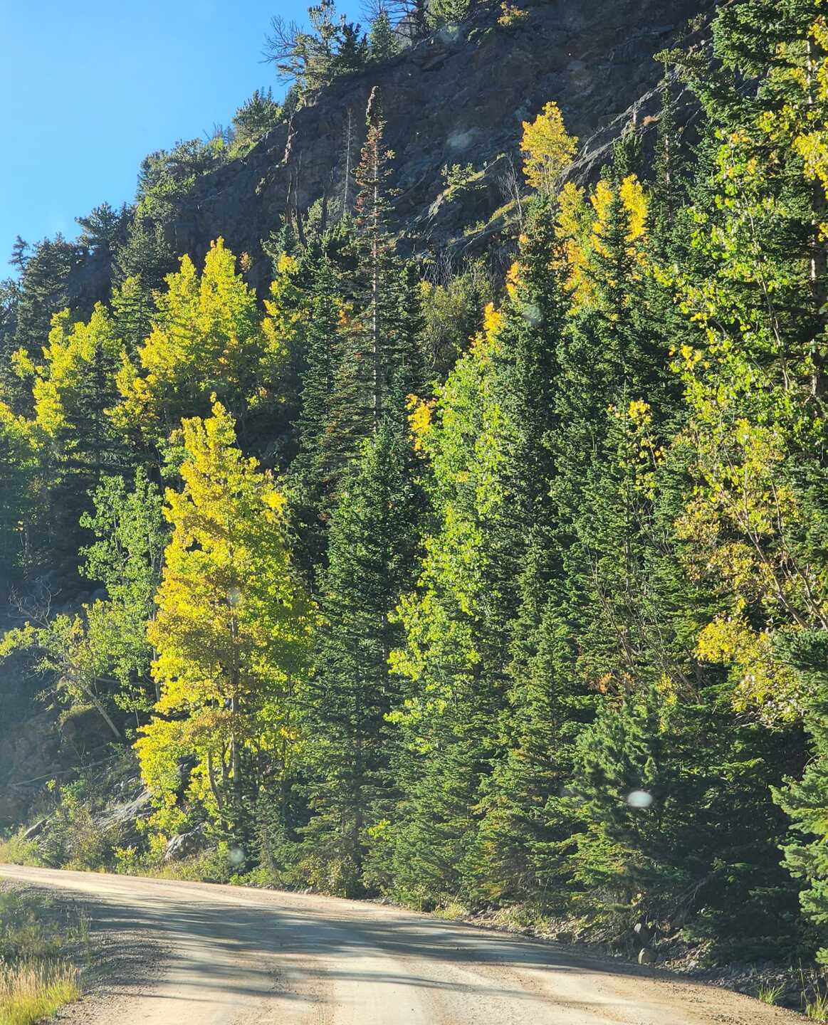 Rocky Mountain National Park | Cynthia Gutierrez