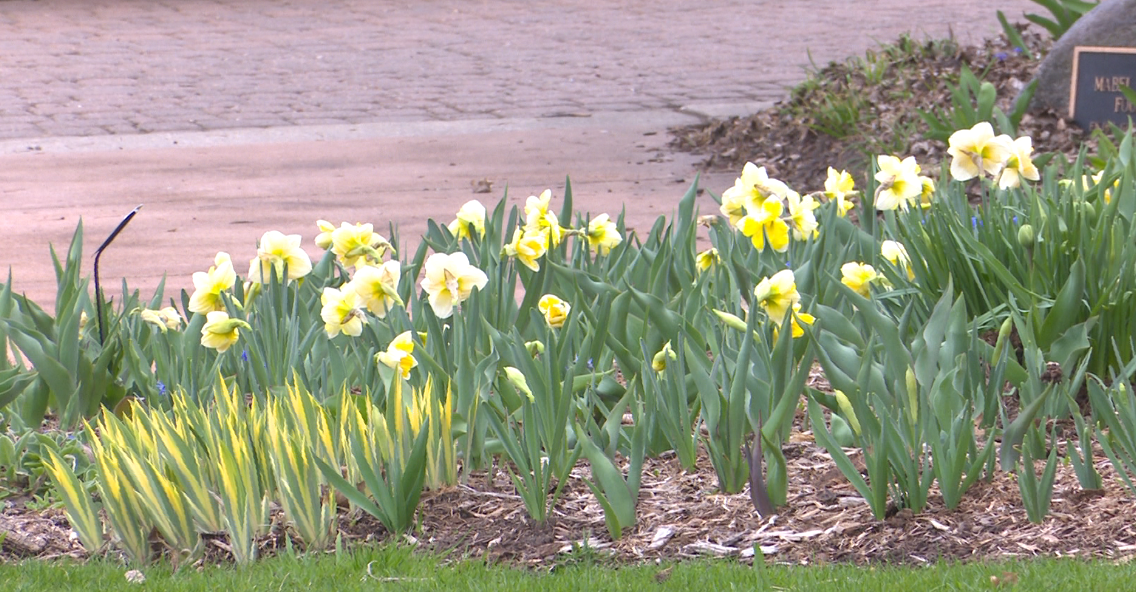 Honoring Mom: Families celebrate Mother's Day at the Green Bay Botanical Gardens