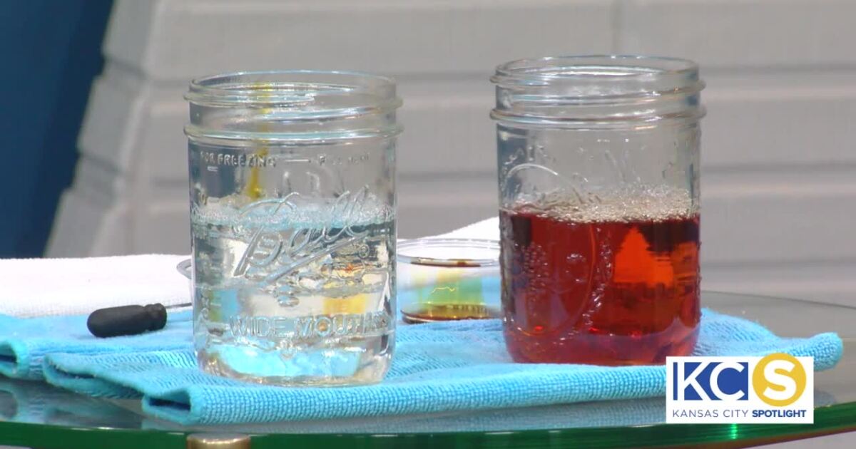 Use Zerorez for your carpet cleaning needs