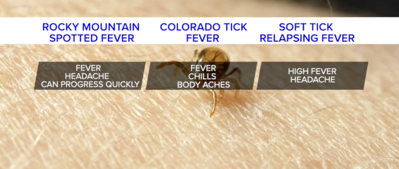 Tick diseases in Colorado