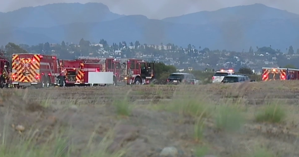 Light plane flew 'erratically' prior to fatal San Diego crash, report says