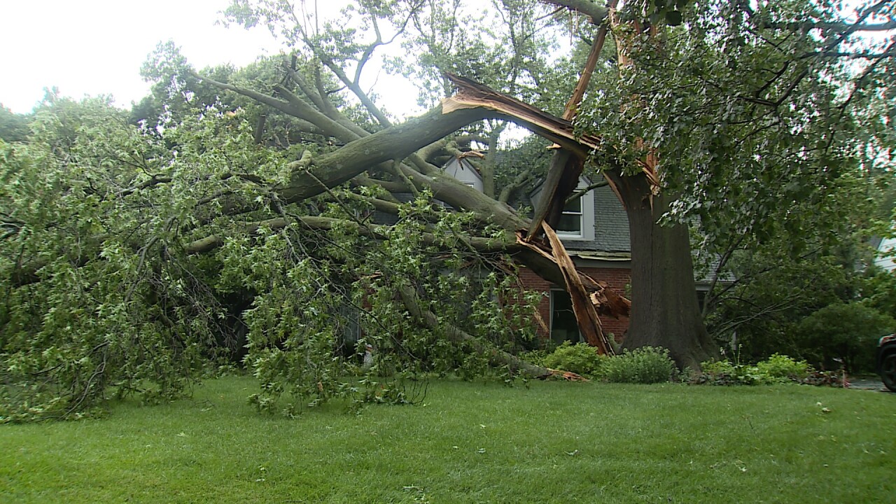 Tree through Fairway home