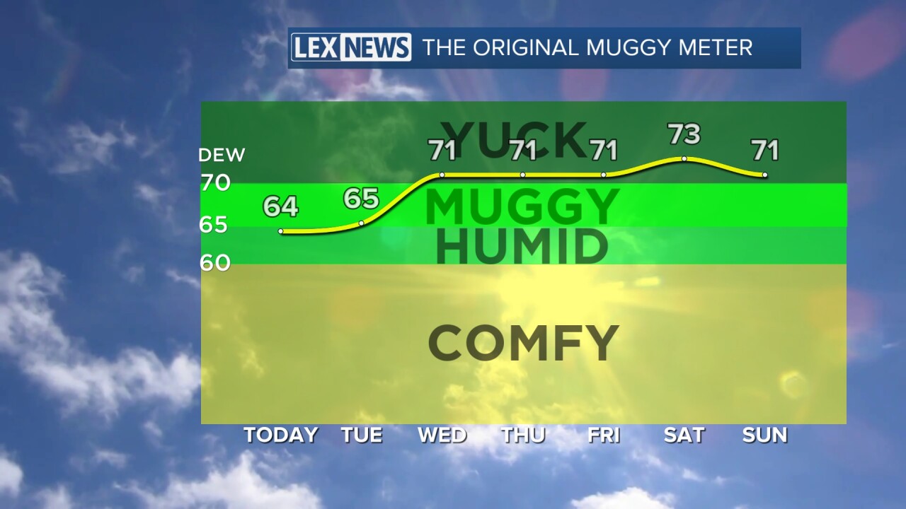 83 muggy.jpeg
