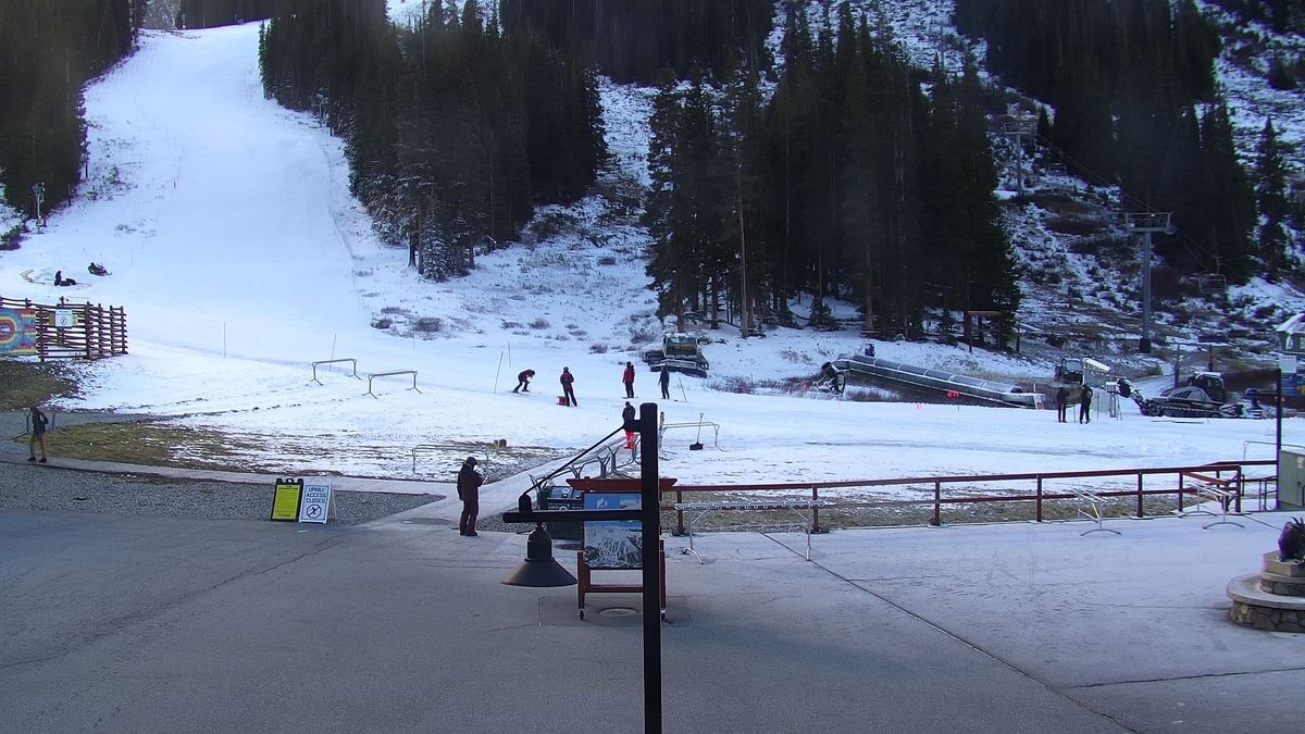 abasincam1001m.jpg