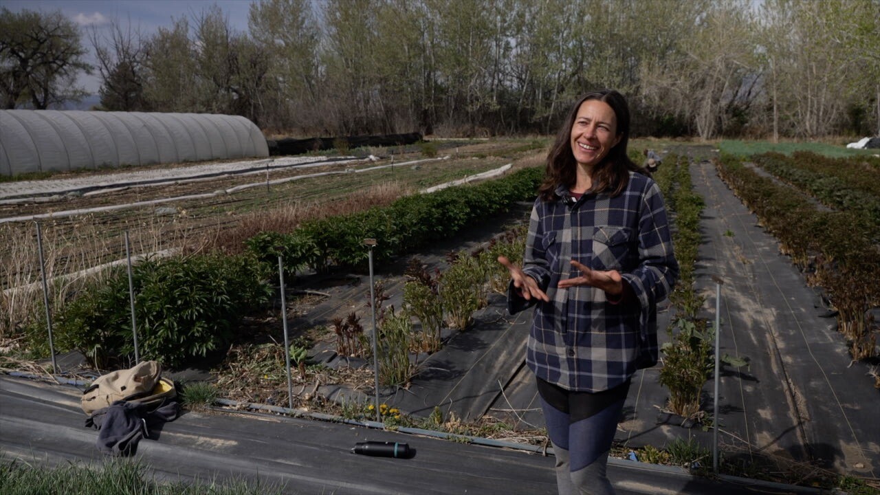 Helen Skiba Farm.jpg