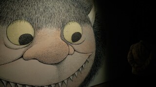 Wild Things Preview.jpg