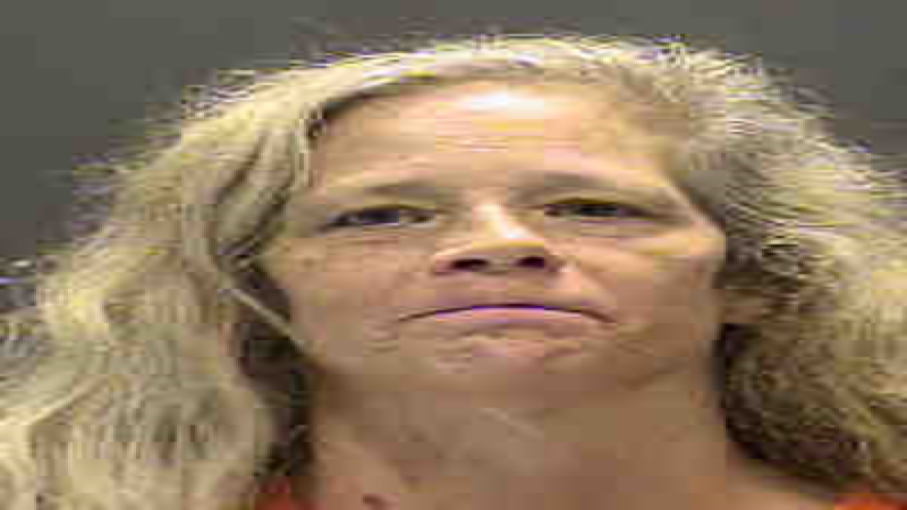 PHOTOS: Check out 100+ mug shots from Tampa Bay