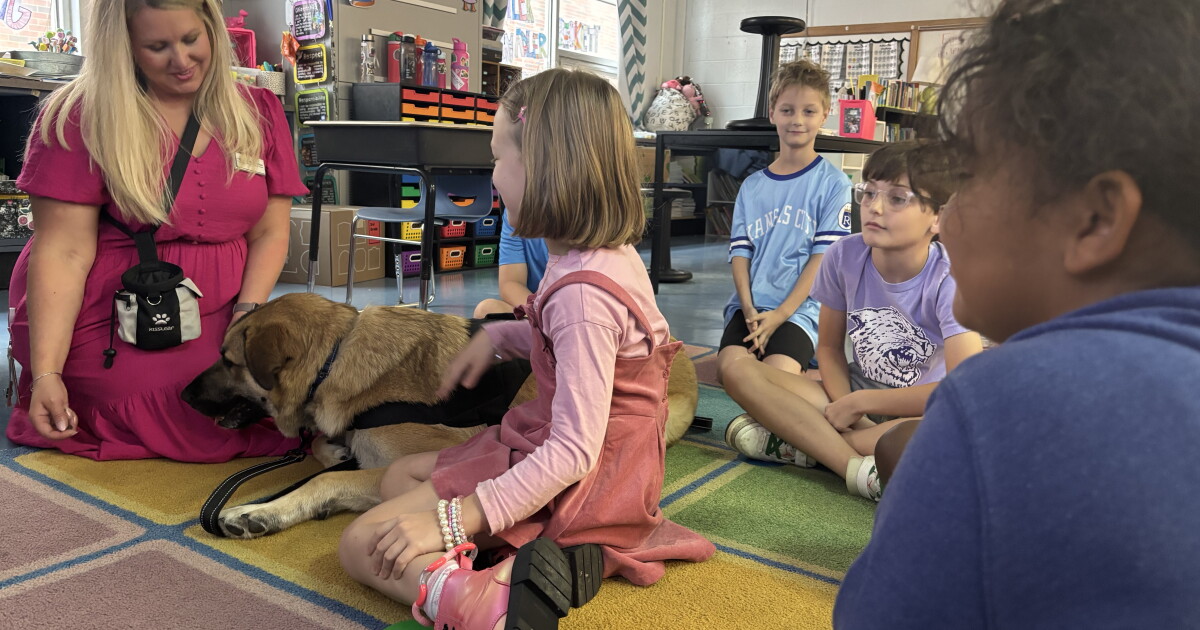 How facility dogs support kids in every Center school