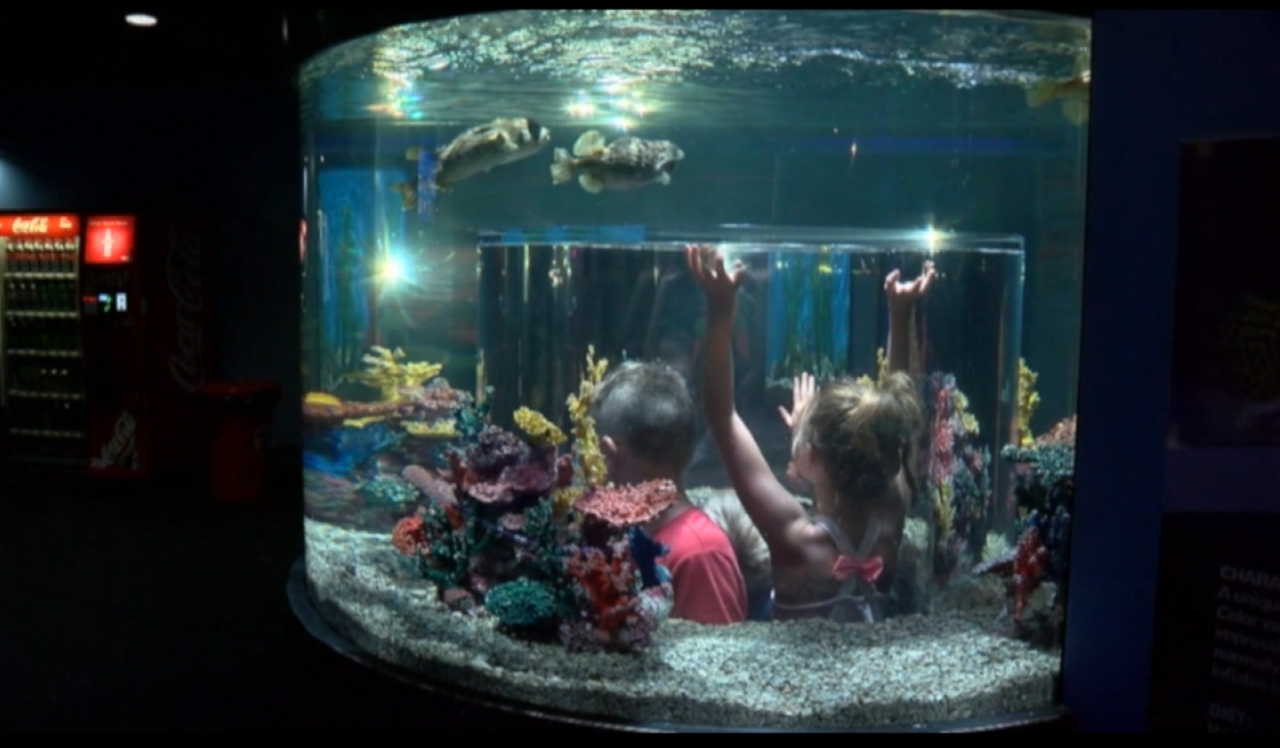 Aquarium of Niagara