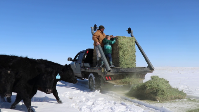 Montana Ag Network: Stick Leg Ranch