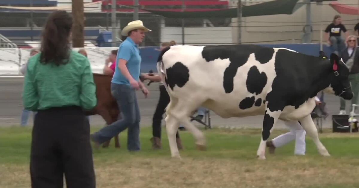 Love Your Neighborhood: Meridian Speedway preserves a slice of Idaho’s dairy history during Dairy Days