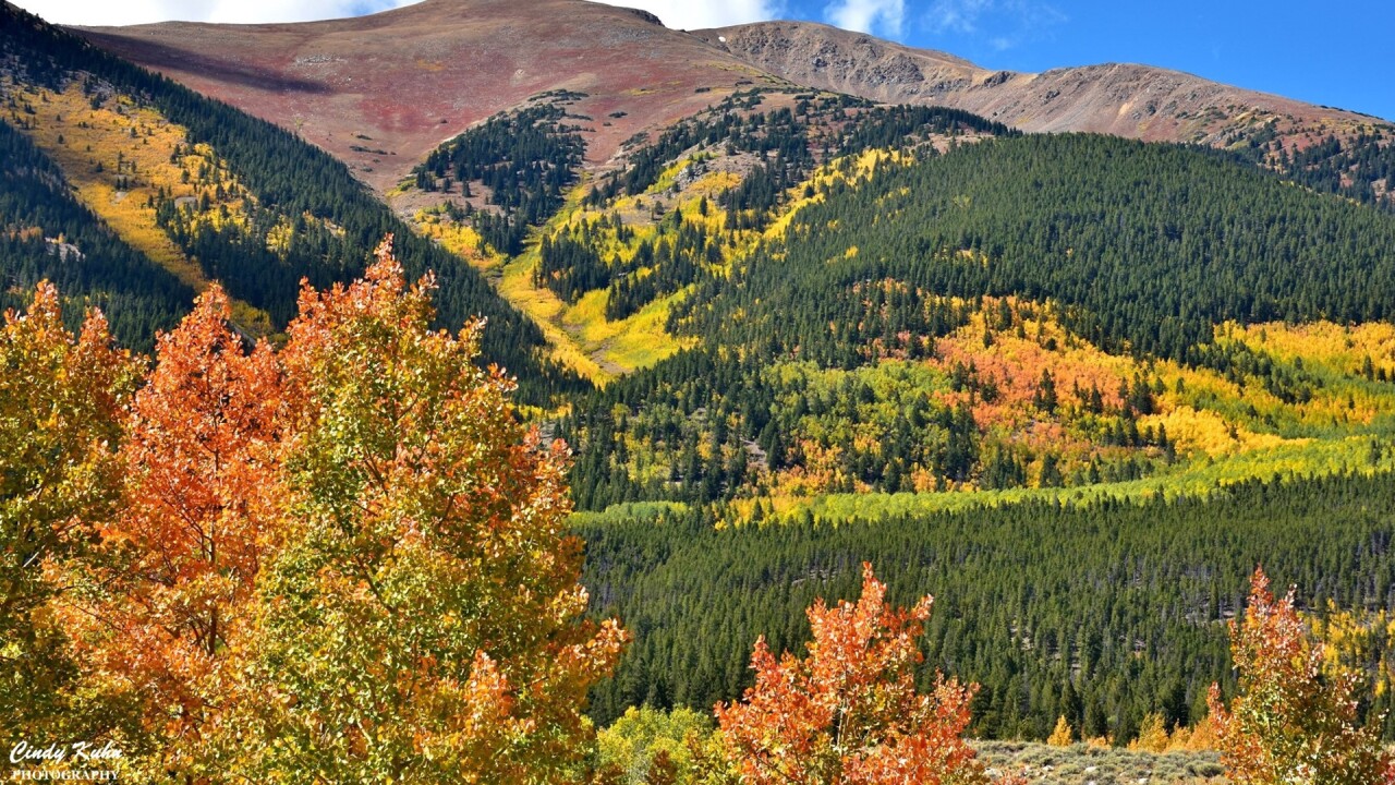 Twin Lakes Cindy Kuhn.jpg