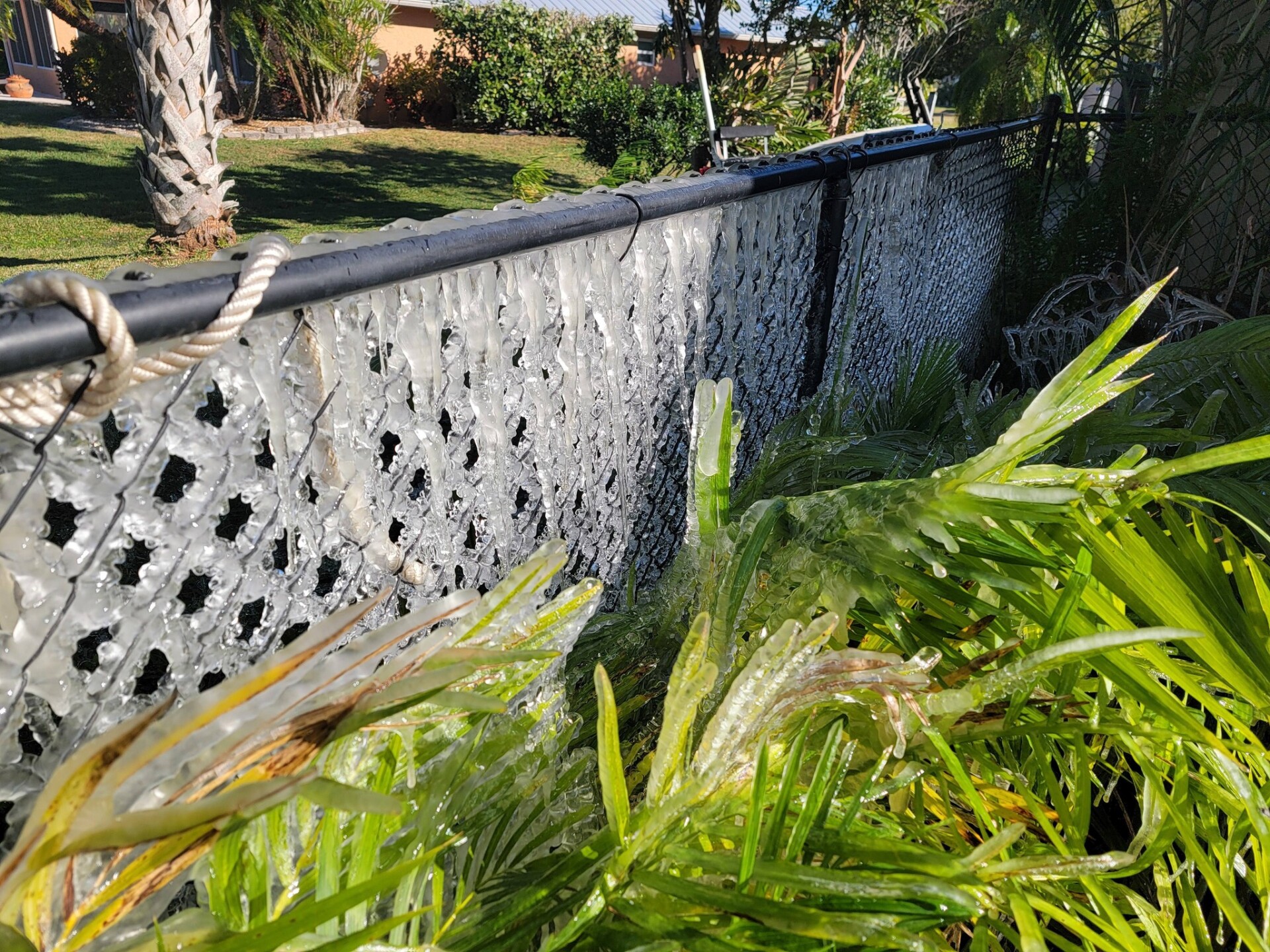 Frozen fence in Okeechobee