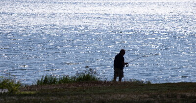 Flanagan Lake