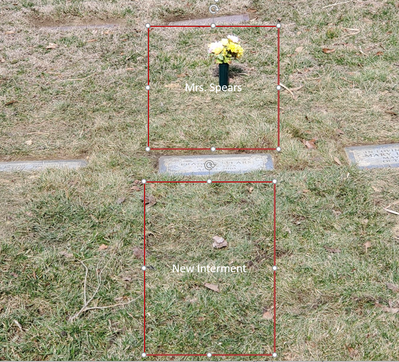 Image from iOS (6).png