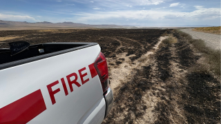 Salt Wells Fire.png