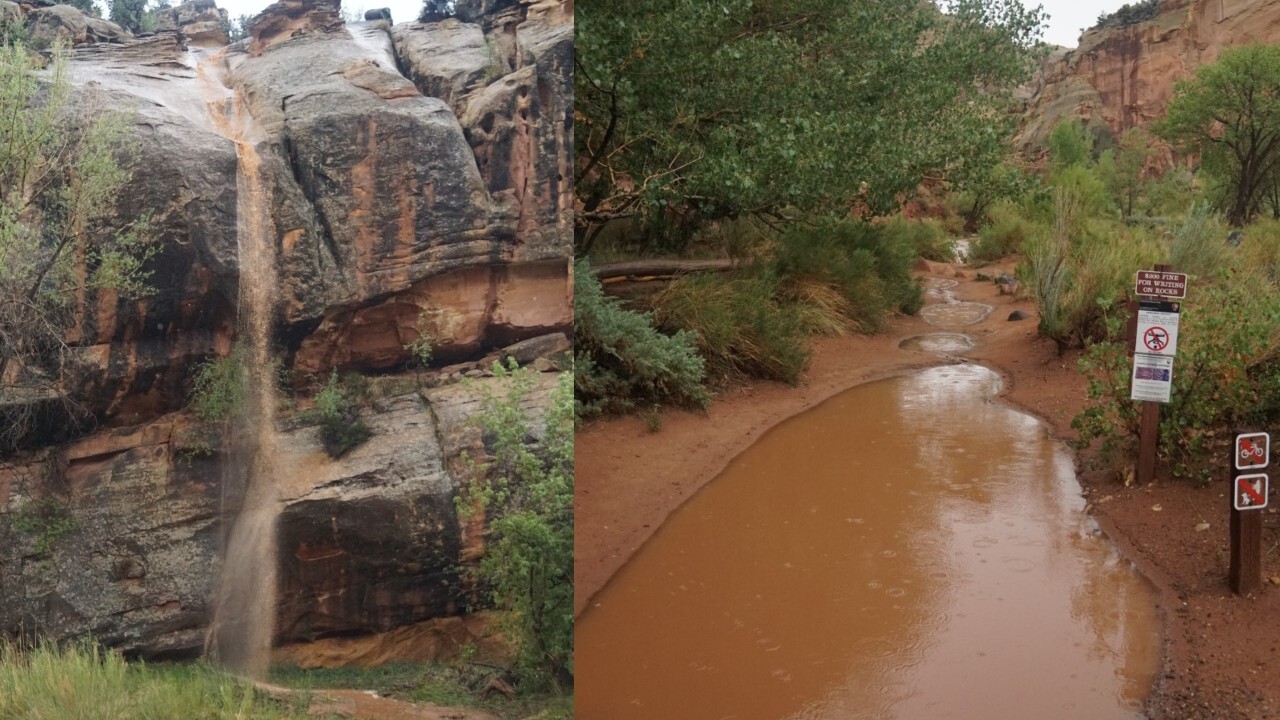 Capitol Reef Flooding.jpg