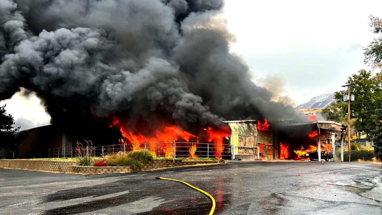 untitled image - 2022-10-25T131836.580.jpg