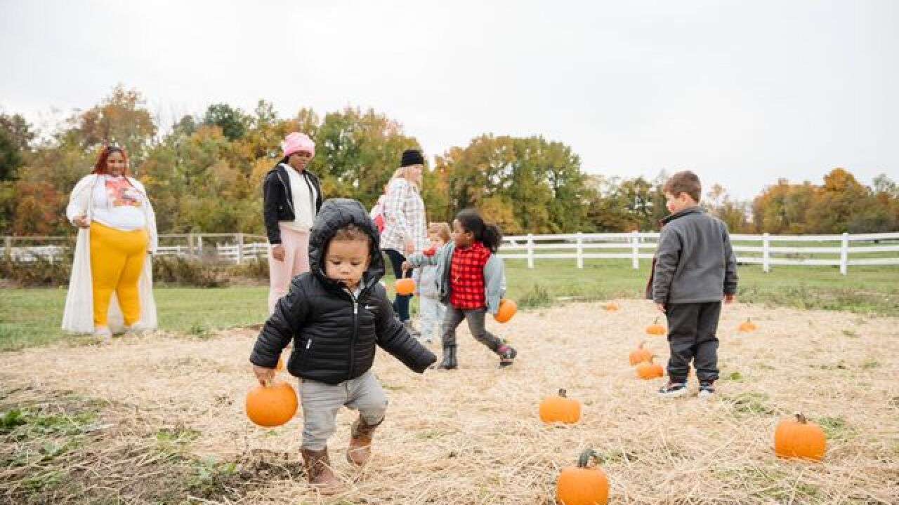 mBGzjHTw.jpeg