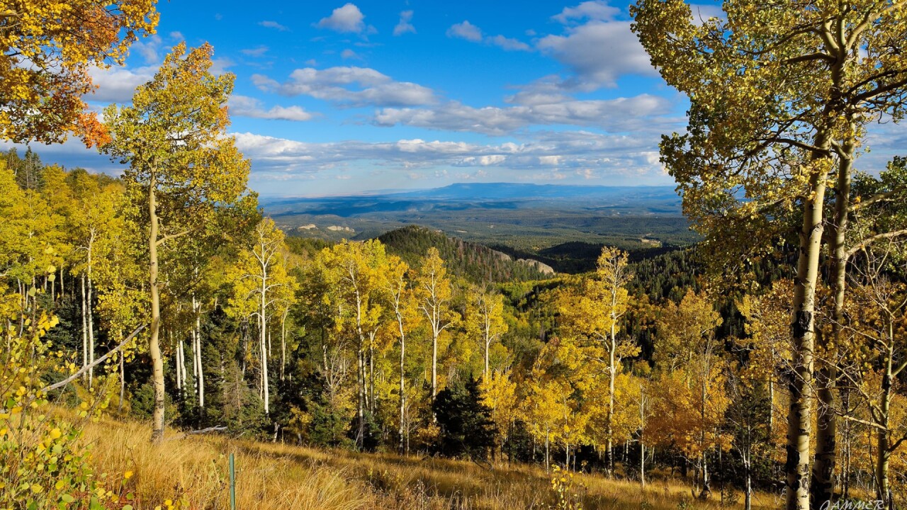 Cordova Pass James Martinez.jpg